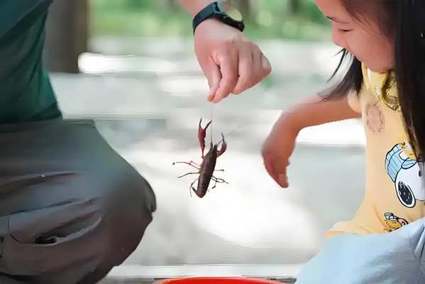 五一长沙周边一日游