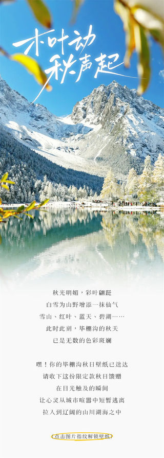 从从容容赏秋去!已被毕棚沟秋日壁纸迷晕~