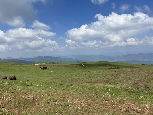 回看贵州印象(贵阳,安顺,西江,盘州)