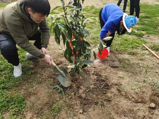 上海植树团建攻略,亲手种下一棵树,赶紧收藏!