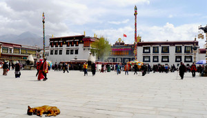 拉萨游记图文-桃花三月游西藏（五）：拉萨（八廓街、小昭寺、布达拉宫广场、罗布林卡）