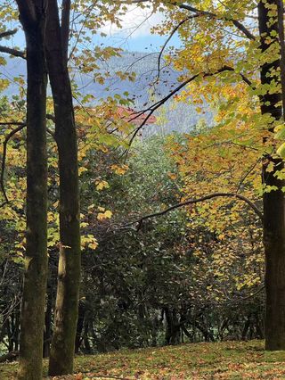 一起去捡秋吧🍁