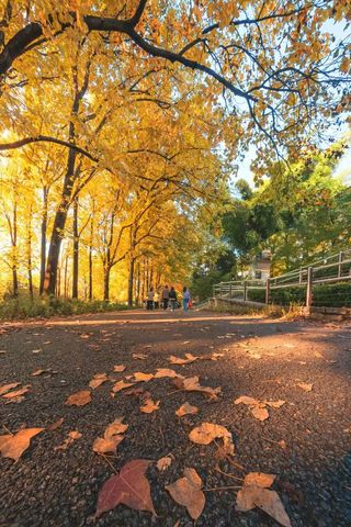 昆明秋日封神！美景+美食+宝藏酒店直接焊死快乐😭