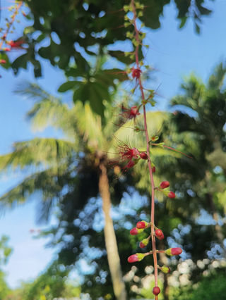 失业前的一次海岛旅行