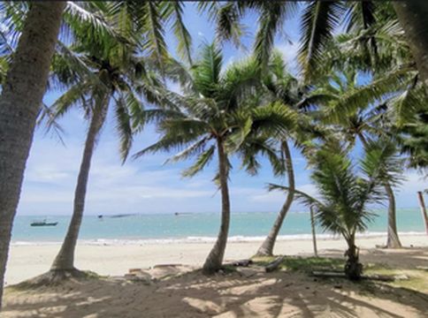 海南岛我来啦 携家带口来打卡