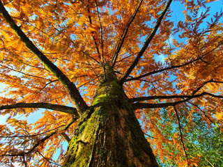 秋来赣了浙一皖
