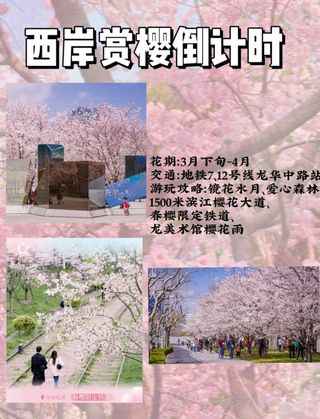 上海的樱花季太牛啦🌸1500米樱花林！附攻略