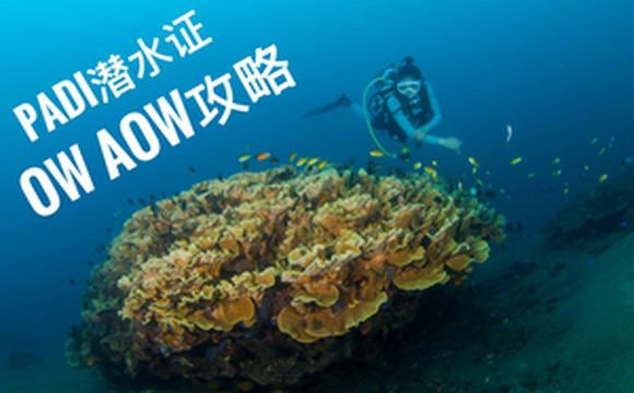 杜马盖地游记图文-菲律宾杜马盖地潜水证OW+AOW考证攻略
