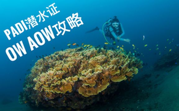 菲律宾杜马盖地潜水证OW+AOW考证攻略