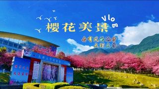 大理大学樱花:等了三年的美景又回来了!不去看看吗?(附攻略)