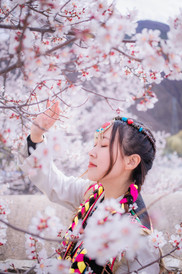 西藏游记图片] 在桃花盛放的时节探访宝藏目的地朗县