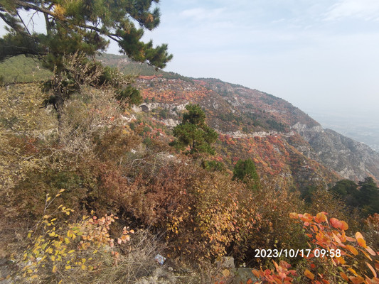 太原崛围山