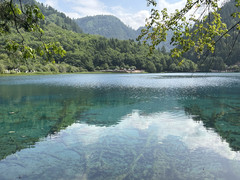 九寨沟景区游客中心游记图片] 九寨归来