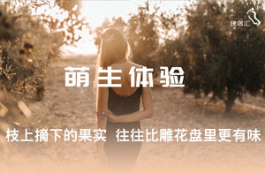 蓟州城区/鼓楼广场游记图文-[民宿汇]蓟县民宿梨木台聚闲居农家院-蓟县梨木台民宿百亩果园沉浸式体验