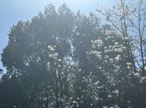 南陵游记图片] 牯牛山城址探秘：南陵县石铺乡的古代遗迹