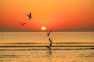 最强一日游攻略！超级精彩！