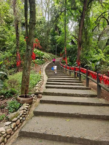 5.4不打挤,特种兵、要赶回成都的大聪明