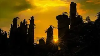 2024去张家界旅游,让我们以青春为引红尘作伴逍遥游!