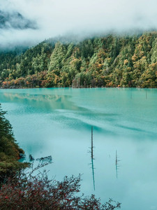九龙游记图文-中秋节两三天成都周边有什么好玩的路线值得推荐