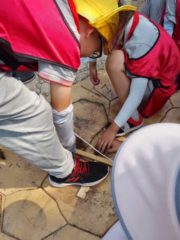 🌿【上海秋游研学新体验】自然探索+团队挑战,真正寓教于乐!