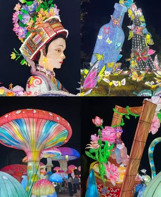 昆明大观公园｜承包我一整个秋天的治愈🌿