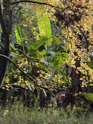 藏在市中心的宝藏打卡地