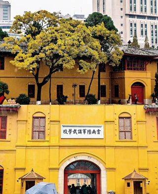 20℃暖冬封神!在百年街巷邂逅金色浪漫🌤️