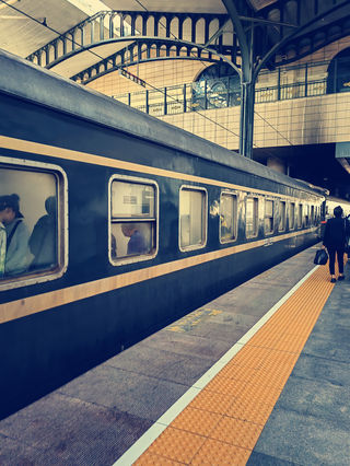 南方小土豆走过大东北（三）——活力哈尔滨（哈尔滨的四日四夜）