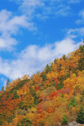 闯入秋日油画!松坪沟彩林巅峰绽放,泡私汤温泉,看千年非遗打铁花!