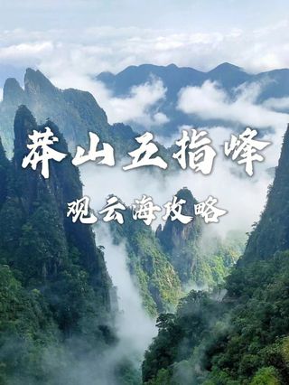 莽山看云海攻略来啦!带你看云海不迷路!