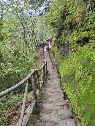 最美武夷山 带着3岁娃来旅行
