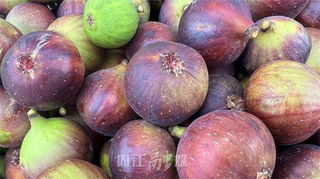 威远:3张“王牌”闯天下