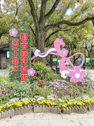 上海共青森林公园2025年之一