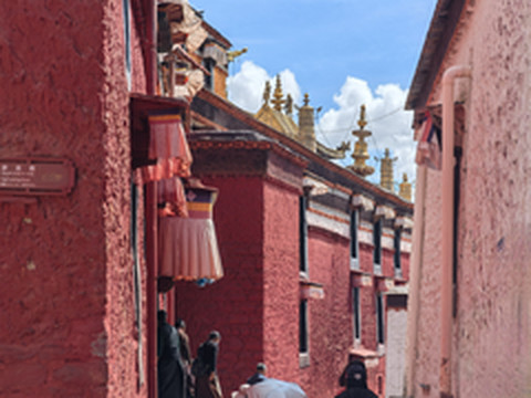 拉萨游记图片] 拉萨林芝日喀则--旅行的另一个样子--大本营-日喀则