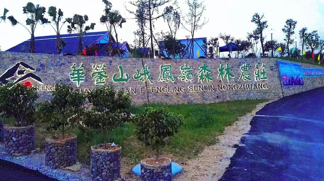华蓥山峨凤岭森林农庄,一个专为青少年准备的大型户外体验课堂!