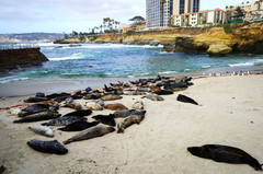 美国西海岸游记图片] 2016年夏与美西国家公园难忘的美丽邂逅（大提顿黄石羚羊峡谷马蹄湾纪念碑谷拱门布莱斯峡谷）下篇