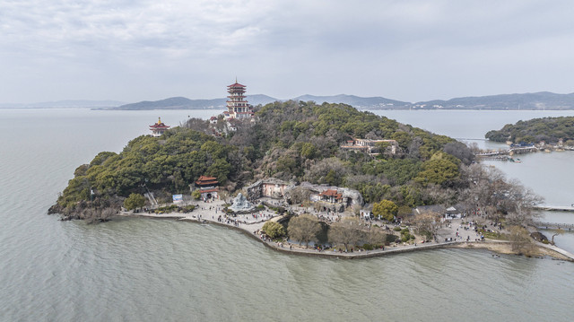 来无锡喂红嘴鸥