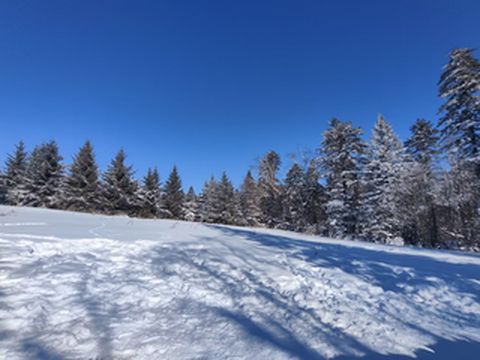 儿子陪游长白山