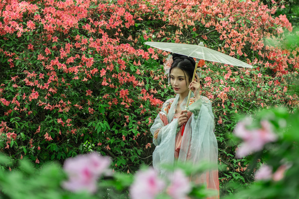 春游惠山古镇,寄畅园山水写意,杜鹃园姹紫嫣红,第二泉茶香漫品