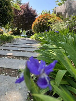 消夏好去处，就来松月湖