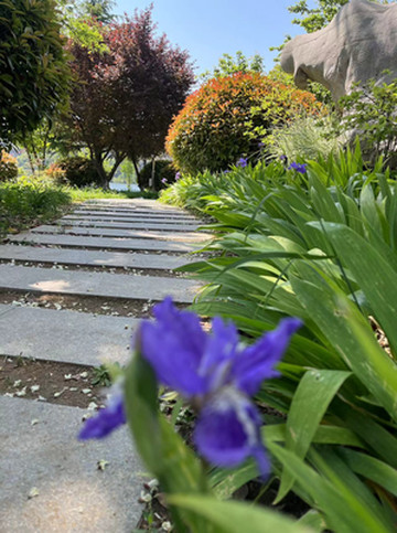 消夏好去处,就来松月湖