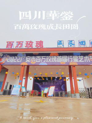 浪漫满园！四川华蓥百万玫瑰成长田园，让你沉醉于玫瑰的海洋！
