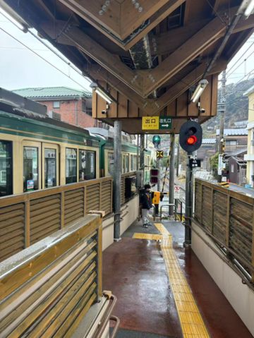 冬季之东京野趣