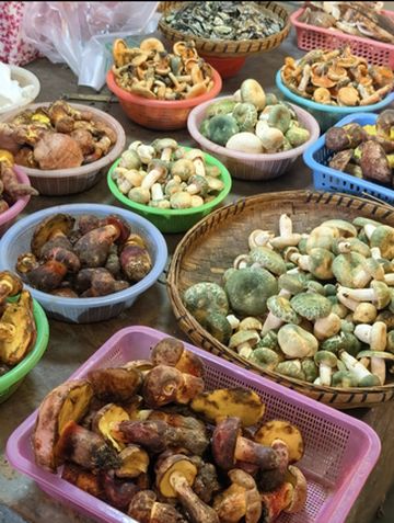 ✨昆明逛吃攻略:翠湖丽瑞德酒店+东华农贸市场绝配!