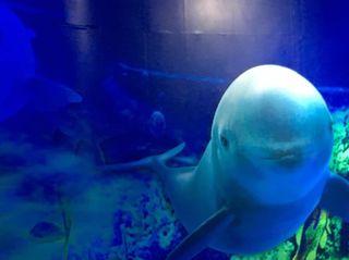 武汉亲子好去处,武汉带娃游玩好地方攻略