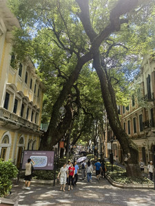 番禺长隆/广州南站附近游记图文-6天逛俩州 我的广州&柳州之旅