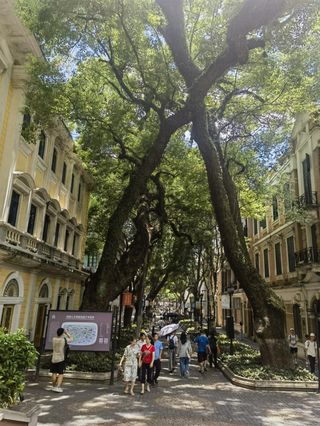 6天逛俩州 我的广州&柳州之旅