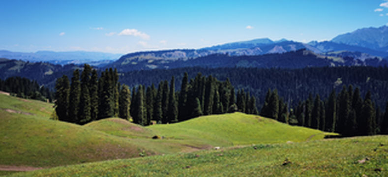 丝路有约，领略北疆之美