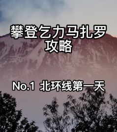 乞力马扎罗山国家公园游记图文-攀登乞力马扎罗攻略之第一集 开端