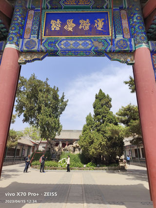 河北游记之保定古莲花池